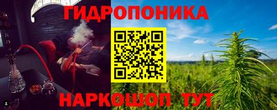 Альфа ПВП Кингисепп