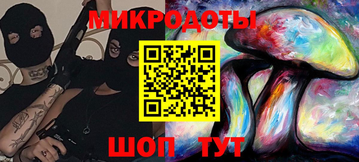 сколько стоит  Гусиноозёрск  Псилоцибиновые грибы Psilocybe 