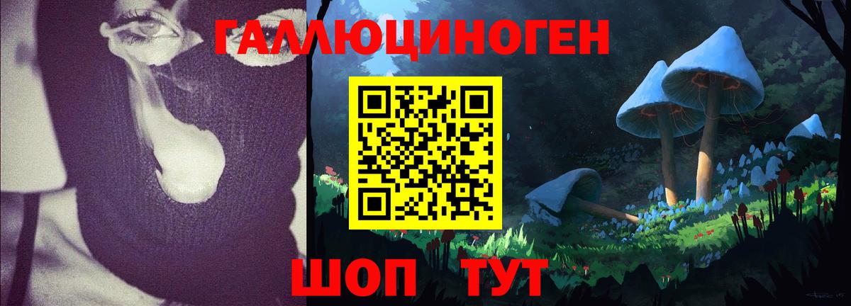 Галлюциногенные грибы ЛСД  Псилоцибиновые грибы ЛСД  Гусиноозёрск  Вход с VPN 